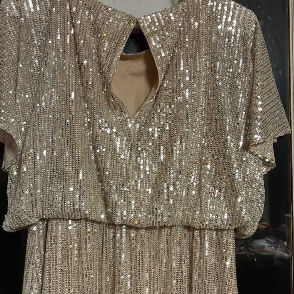 Elegant Sequin Gown - Picture 8 of 10